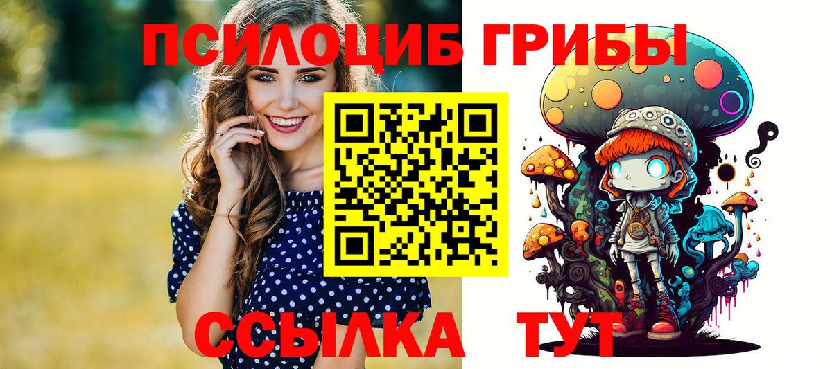 Галлюциногенные грибы Psilocybine cubensis Кимовск